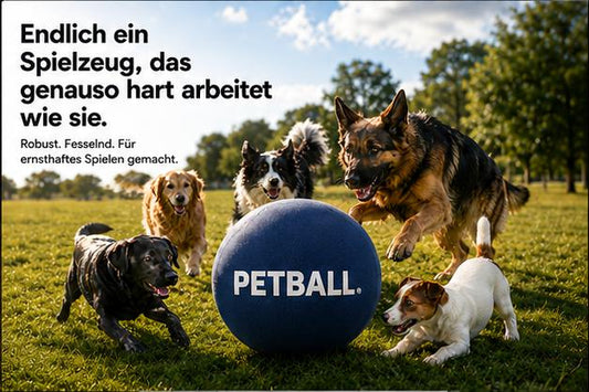 PETBALL™ Hüteball