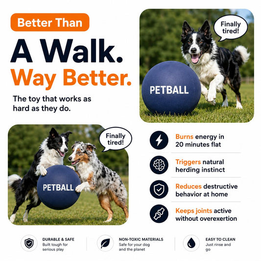 PETBALL™ Herding Ball
